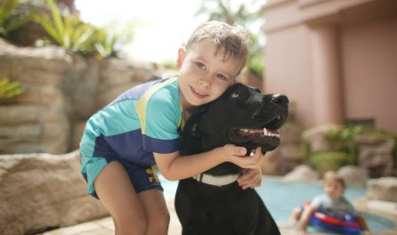 boy embracing dog at our pet friendly serviced apartments