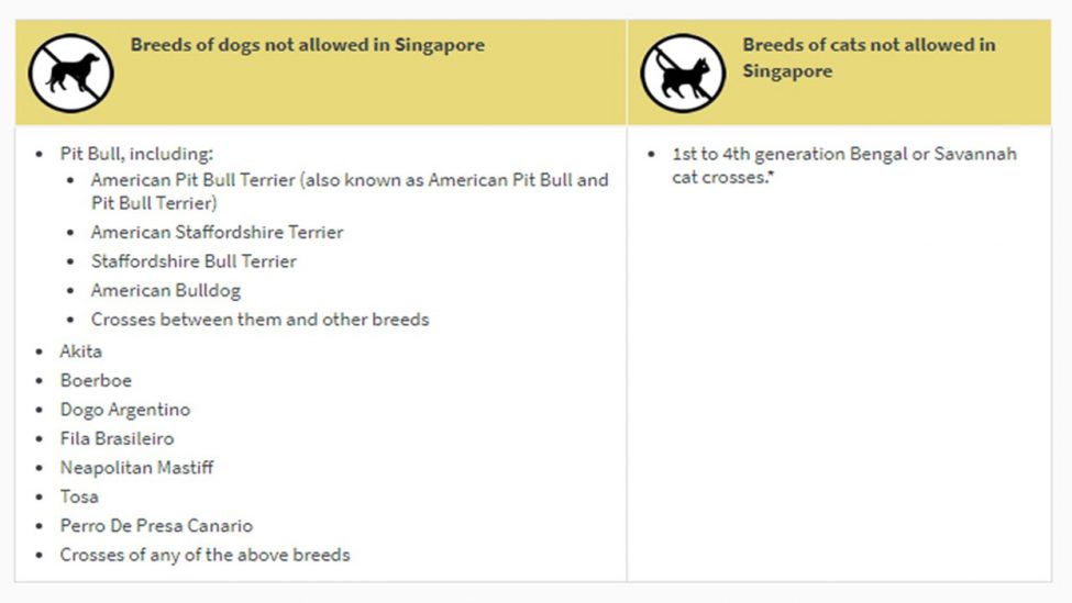 Pet Friendly Serviced Apartment Singapore Great World Serviced Apartments