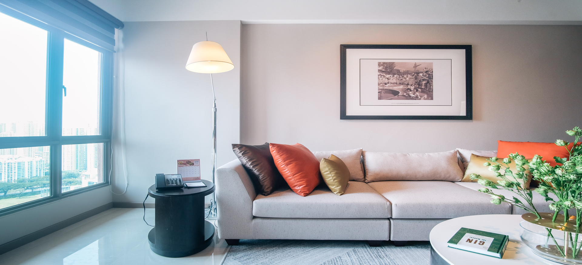 Sofa License Study Guide Baci Living Room