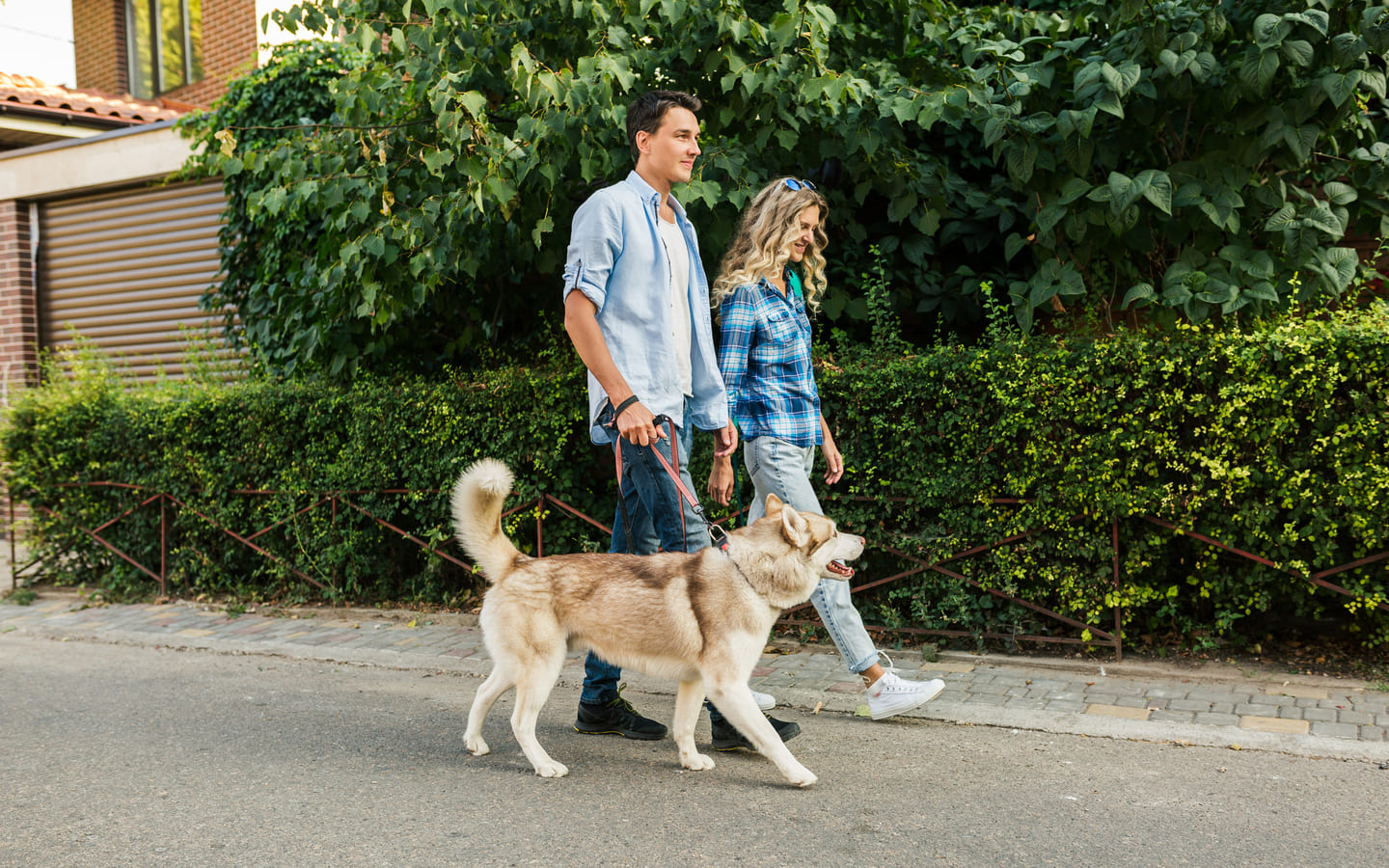 Pet-Friendly Activities